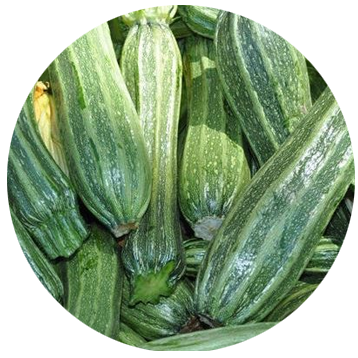 zucchine